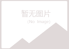 青岛崂山曾经造纸有限公司